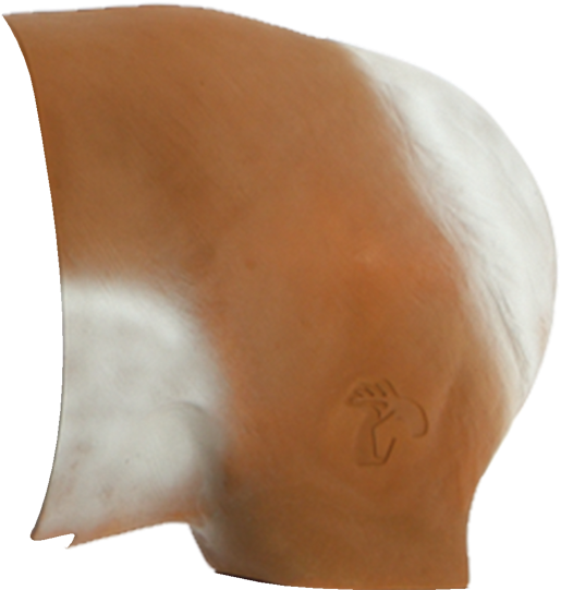 Pronghorn Antelope Archery Target Replacement Rear - Sculpture (600x600), Png Download