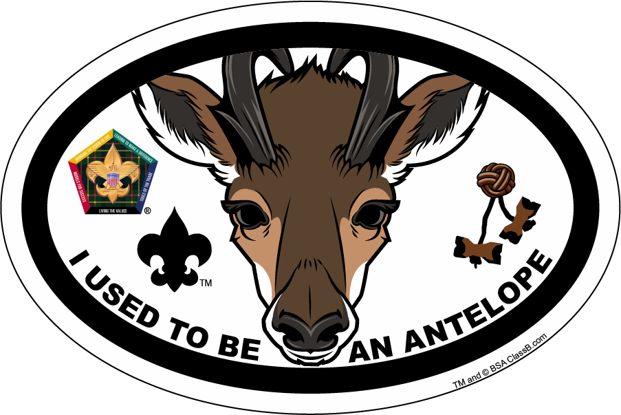 Image - Boy Scouts Of America (903x603), Png Download