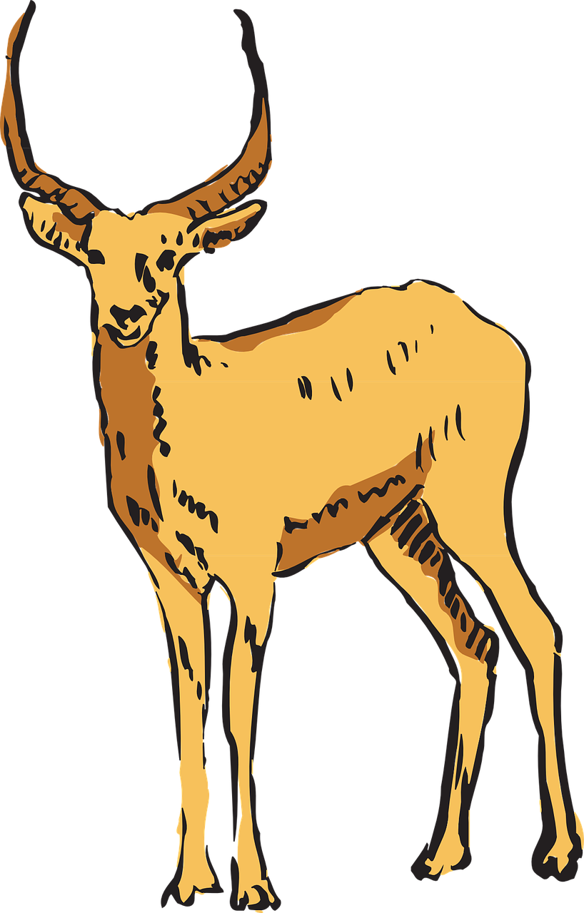 Forest, Antelope, Forest, Standing, Horns - Antelope Clipart Transparent (818x1280), Png Download