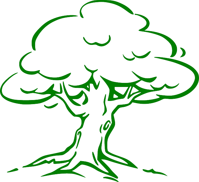 Oak Png Sm - Draw A Oak Tree (640x584), Png Download