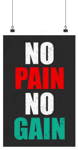 No Pain No Gain Dp (257x489), Png Download