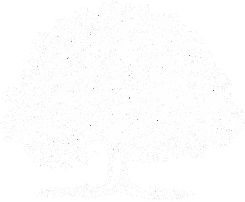 Black - Celebration Of Life Announcement (961x753), Png Download