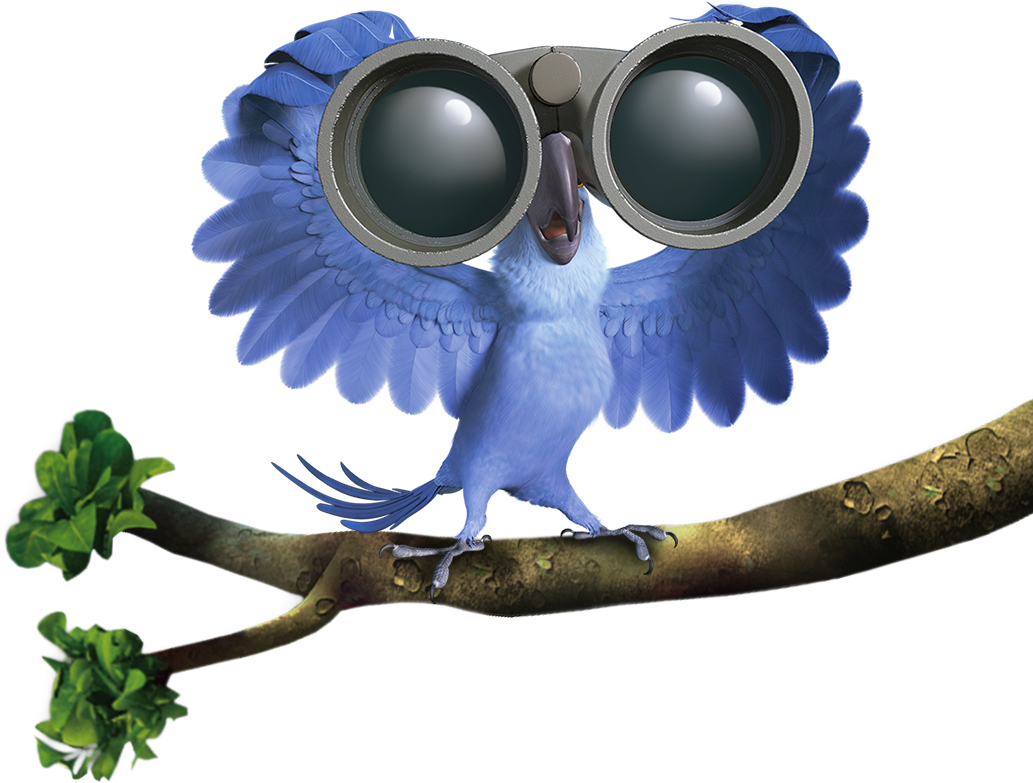 Logo For Dishwashing Liquid (1033x783), Png Download