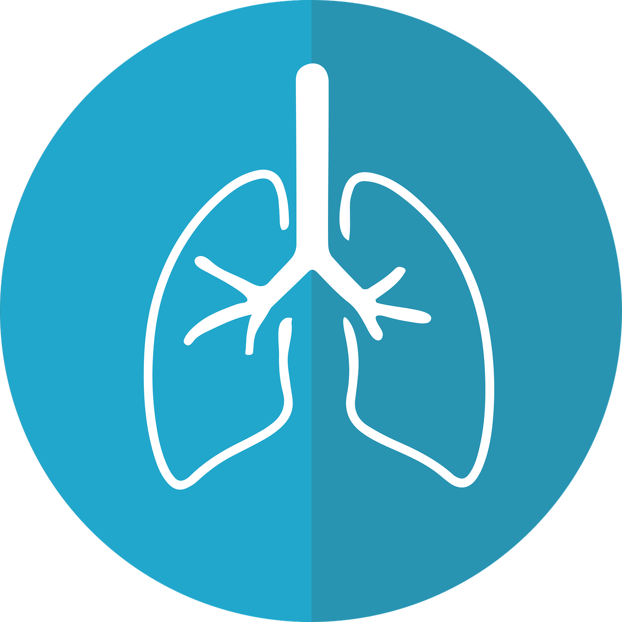 Bronchitis Vs Pneumonia Lungs Icon - Scales Of Justice Caduceus (1280x1280), Png Download