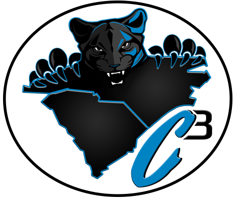 @jayray19 Aka Justin R - Carolina Panthers (470x407), Png Download