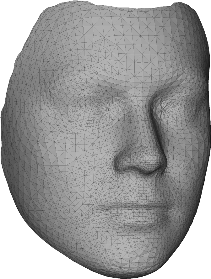 Face Model Picture - Processo De Decisão De Compra (687x900), Png Download