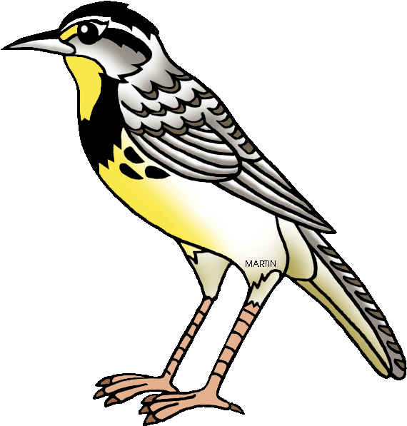 Top 92 Lark Clip Art - Kansas State Bird Clipart (621x648), Png Download