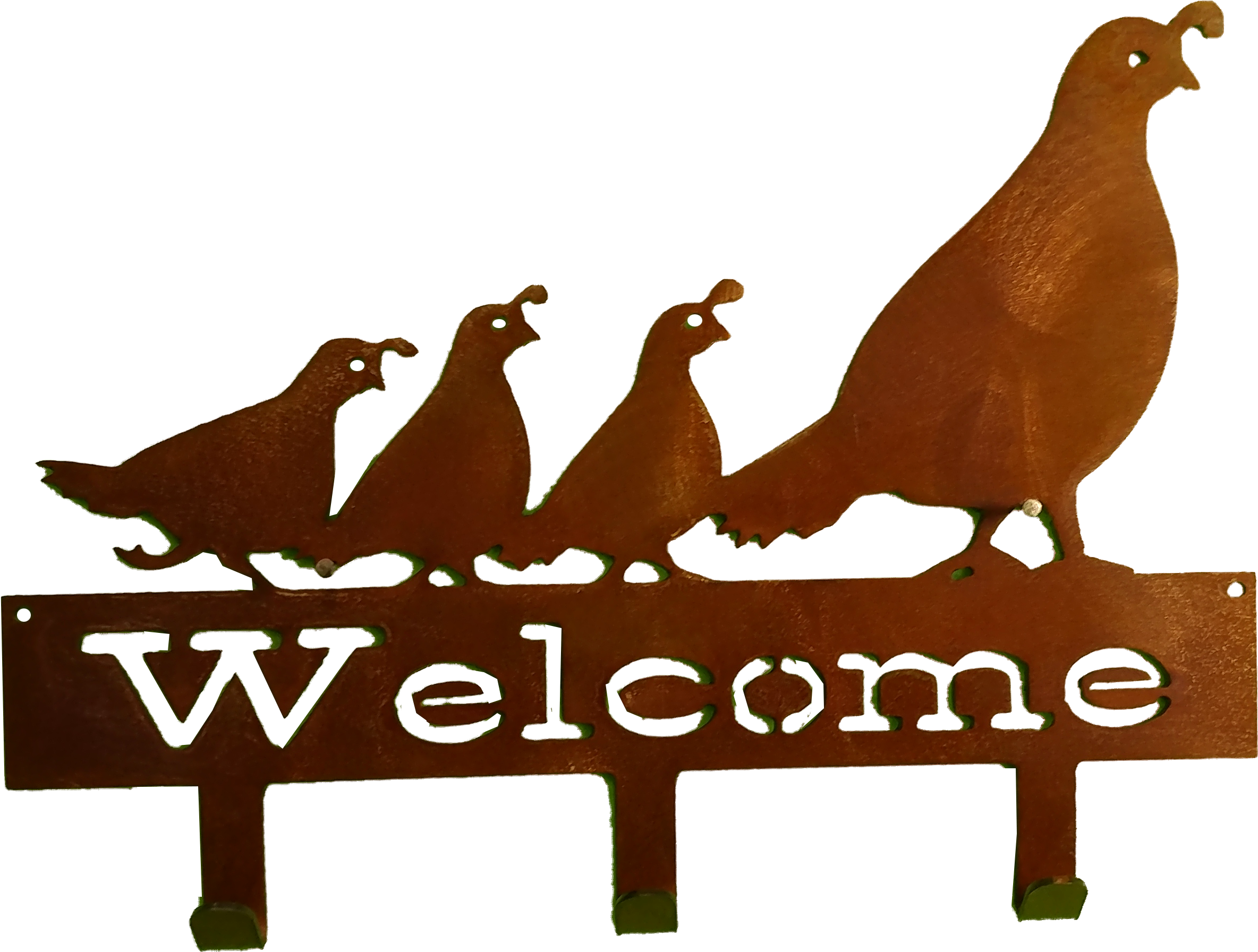 Coat Hook Quail Larger Image - Quail (4656x2620), Png Download