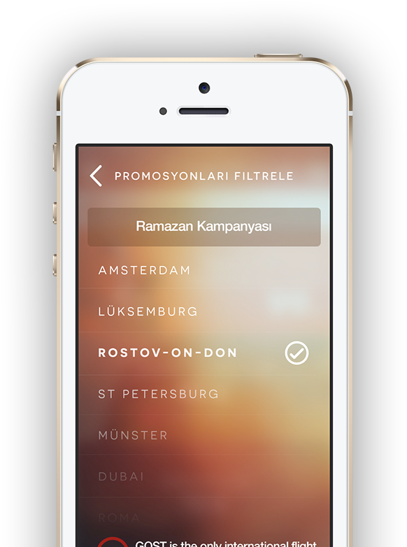 Pro - Iphone (740x791), Png Download