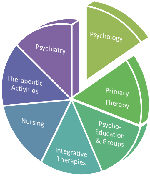 Sierra Tucson's Integrative Pie - Elements Business Process Management (545x623), Png Download