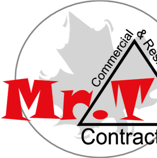 Photo - Minnie (530x527), Png Download