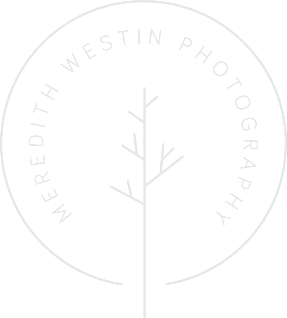 Meredith Westin - Haribo (1000x1108), Png Download