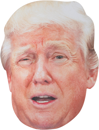 Bobble Hedz Trump Mask - Face (503x650), Png Download