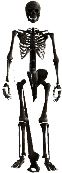 Skeleton - Fallout New Vegas Skeleton (214x600), Png Download