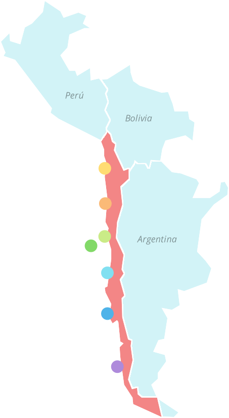 Mapa De Chile - Argentina Chile Mapa Png (453x825), Png Download