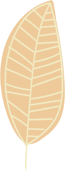 Gym Web Elements-leaf Two - Illustration (644x924), Png Download