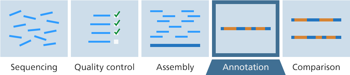 Bioinformatics 3 - Annotation - Genome Annotation (1200x320), Png Download