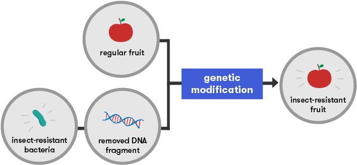 We Now Have The Potential To Manipulate The Actions - Gene Technology (726x356), Png Download