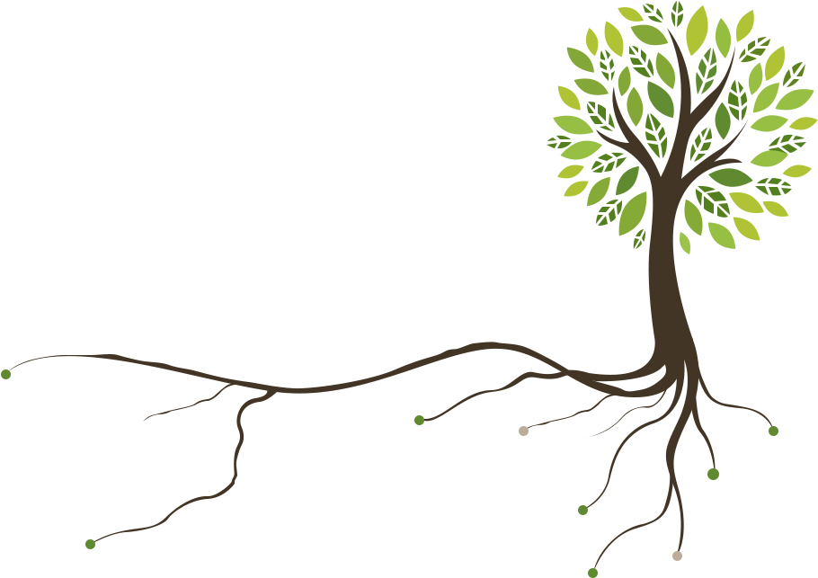 Tree - Body Nutrition Gardenia Vegan Protein Powder, Vanilla (940x669), Png Download