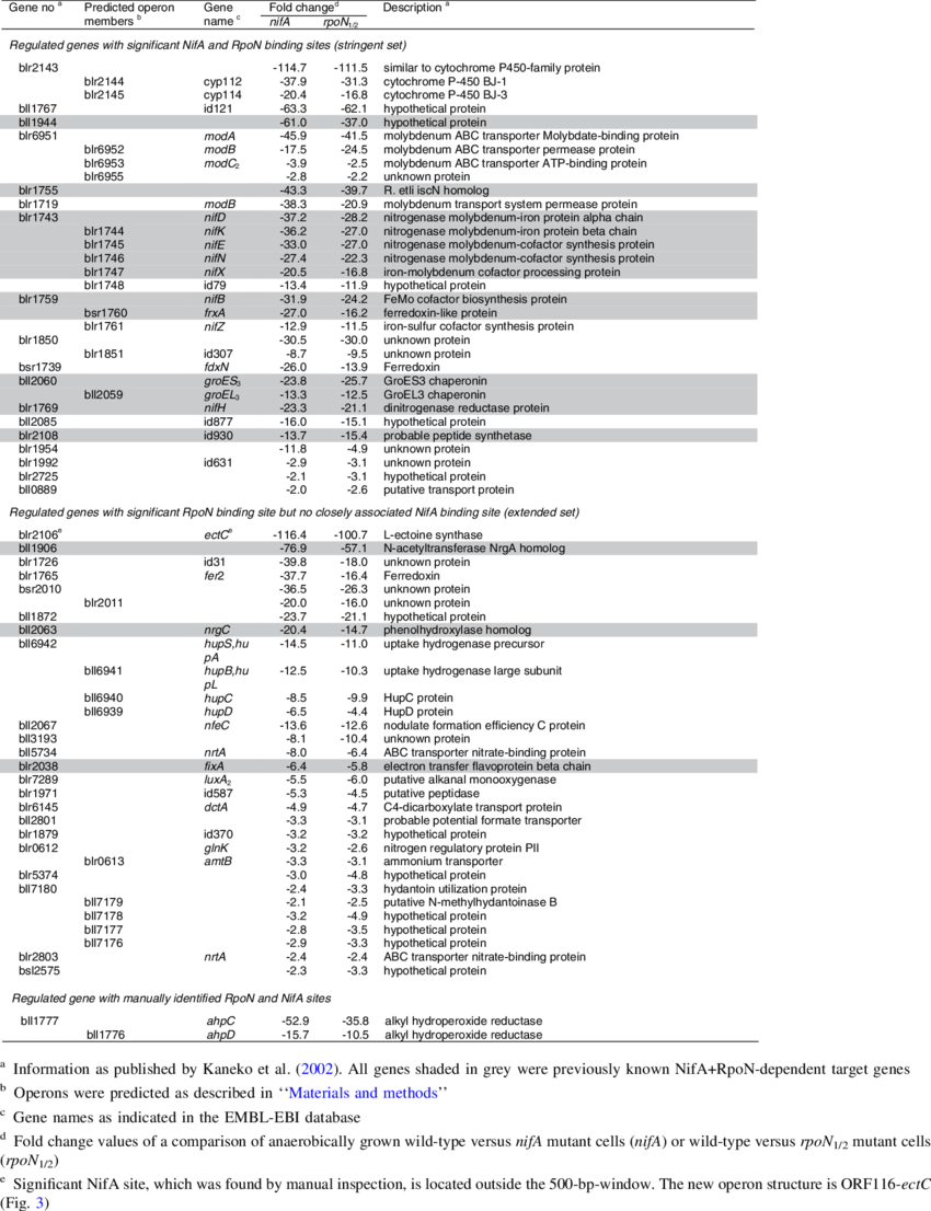 Newly Identified And Previously Described Nifa Rpon-dependent - Mobile Phone (850x1106), Png Download