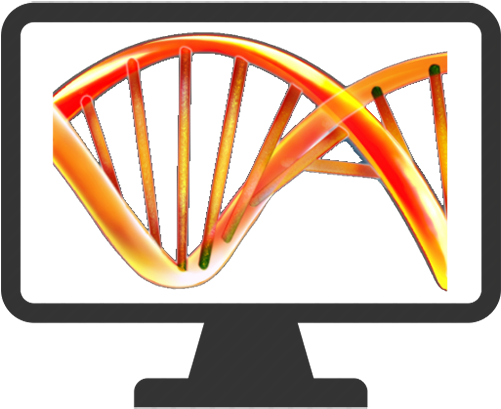 Monitor With A Double Helix - Encode (500x415), Png Download