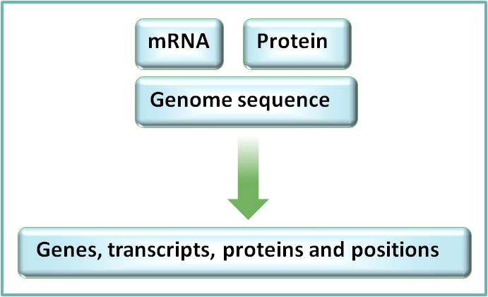 Sequences In Public Databases Are Aligned To The Genome - Genome (691x420), Png Download