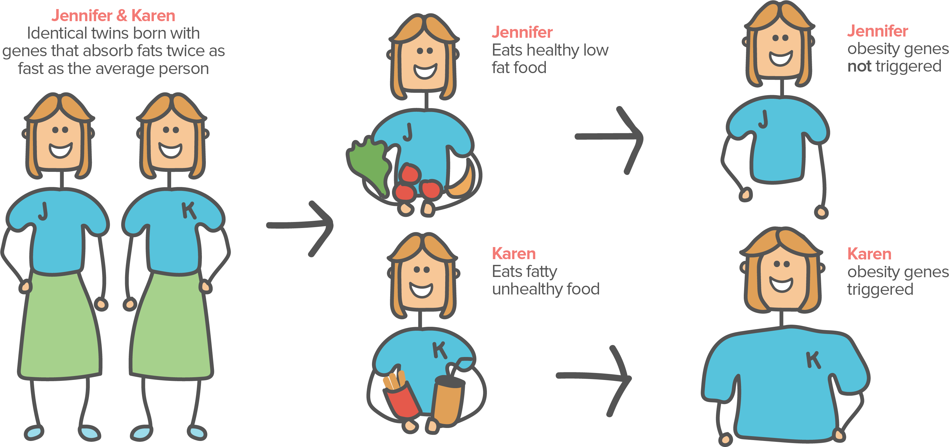 Behavior Genetics Example (3166x1479), Png Download