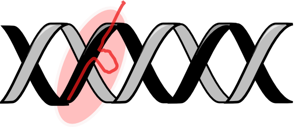 What If We Could Edit Our Genes To Cure Diseases We're - Crispr Clipart (600x259), Png Download