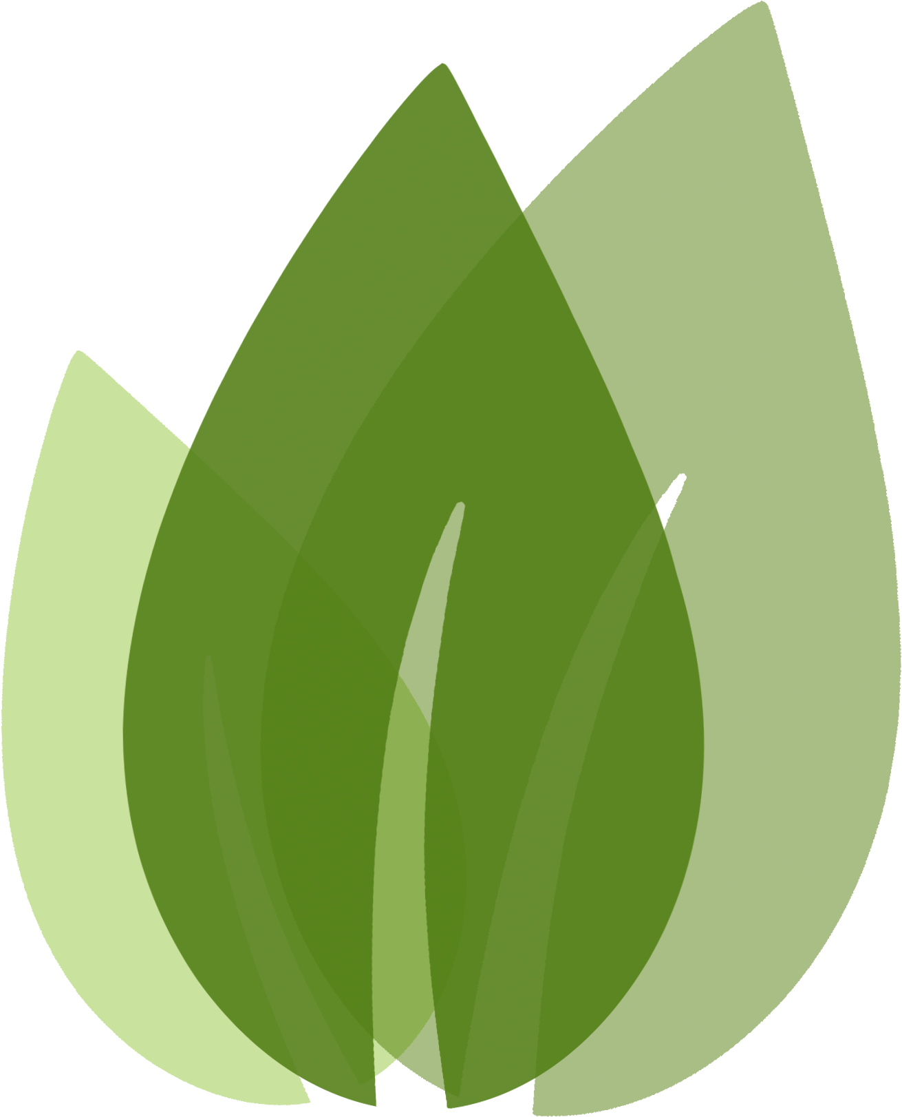 Enjoy Some Color At Your Table With These Leaf Green (1765x1840), Png Download