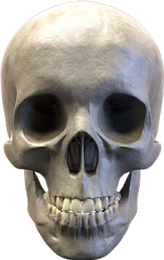 A Hamburger , Candy Corn, My Mom And They're All Available - Skull (400x400), Png Download