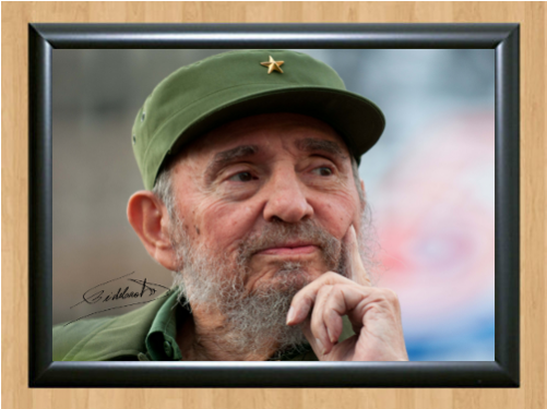 Fidel Castro Cuban President - Fidel Castro Ruz (500x500), Png Download