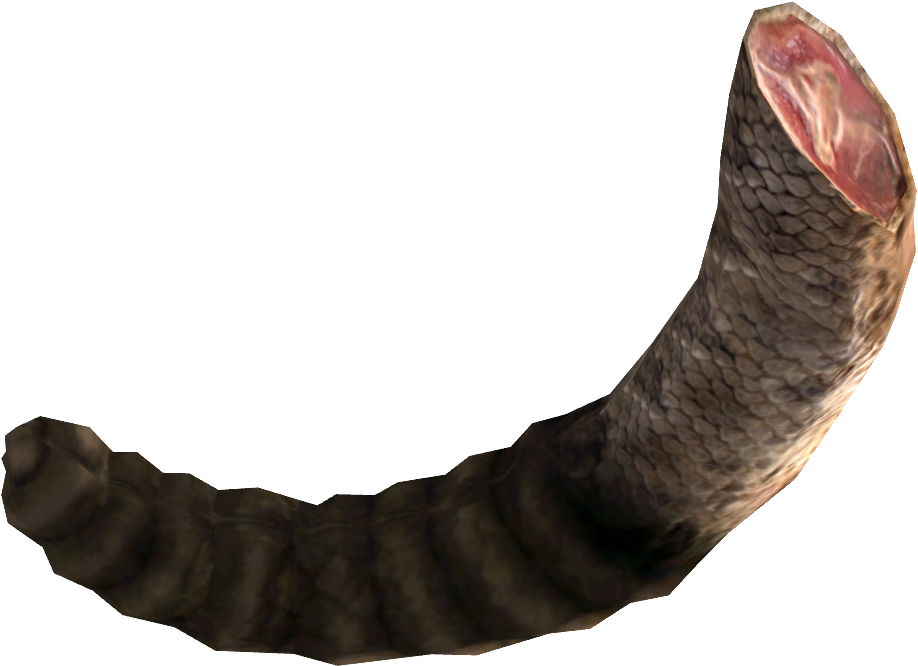 The Vault Fallout Wiki - Animal Tails Png (1000x750), Png Download