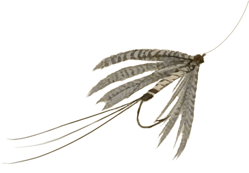 Fly Fishing Flies - Fly Fishing (525x375), Png Download