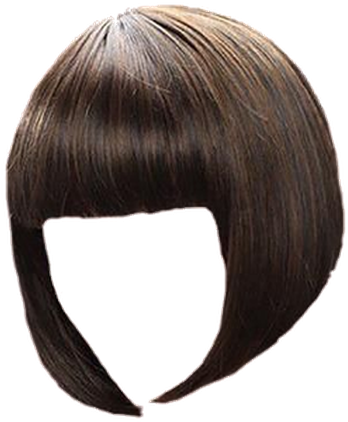 Anna Wintour Wig - Cocowig Straight African American Wigs Density 120% (450x456), Png Download