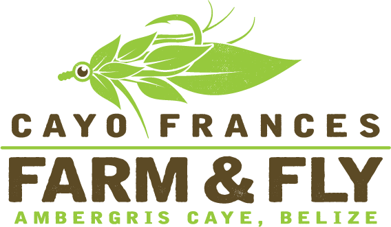 Fly Fishing, Fish Stories, Bbq's, Breakfast, Lounging, - Graphic Design (568x331), Png Download