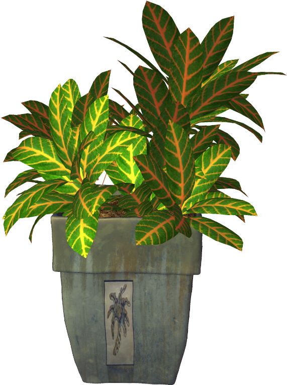 Clipart Resolution 600*796 - Maceta Con Planta Png (600x796), Png Download