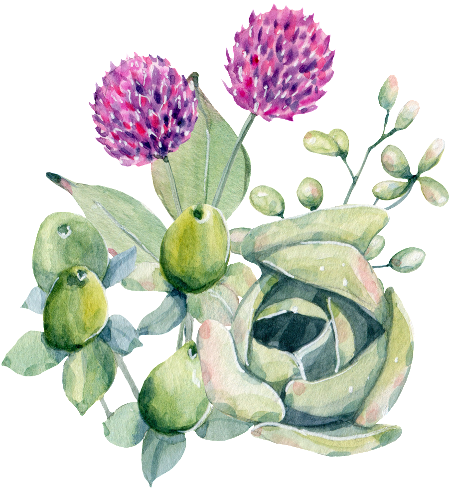 Pintado A Mano De Cuajada De Púrpura Png Planta Png - Flower (1024x1038), Png Download