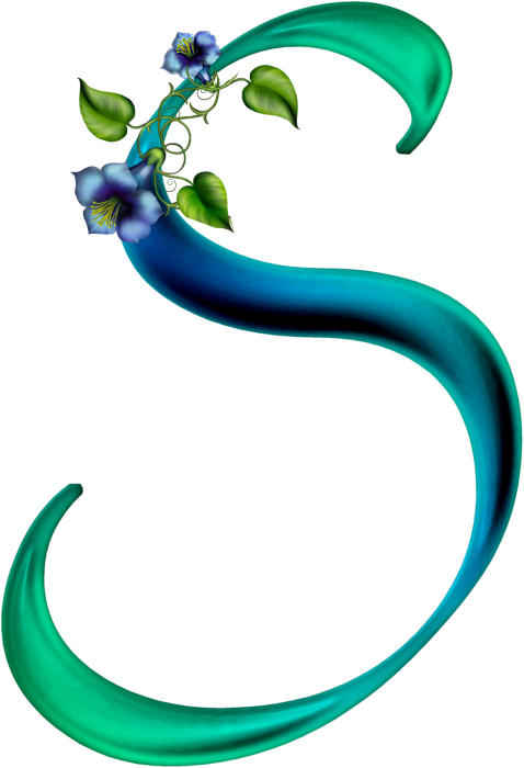 Фото, Автор Mediona - S .png (478x700), Png Download