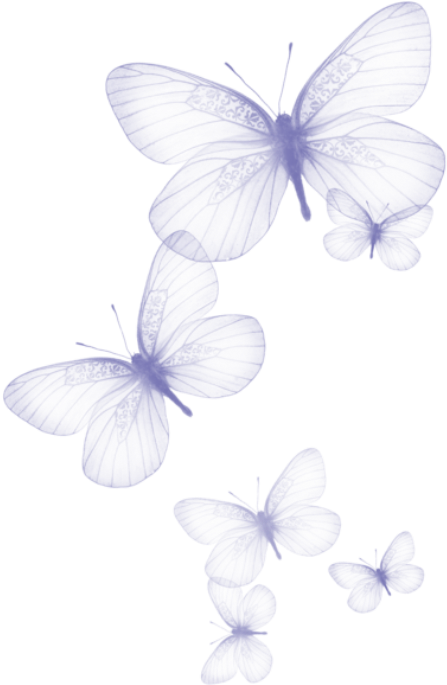 Borboletas Borboleta Lilás 2 Png - Purple Butterfly Clipart Transparent Background (492x711), Png Download