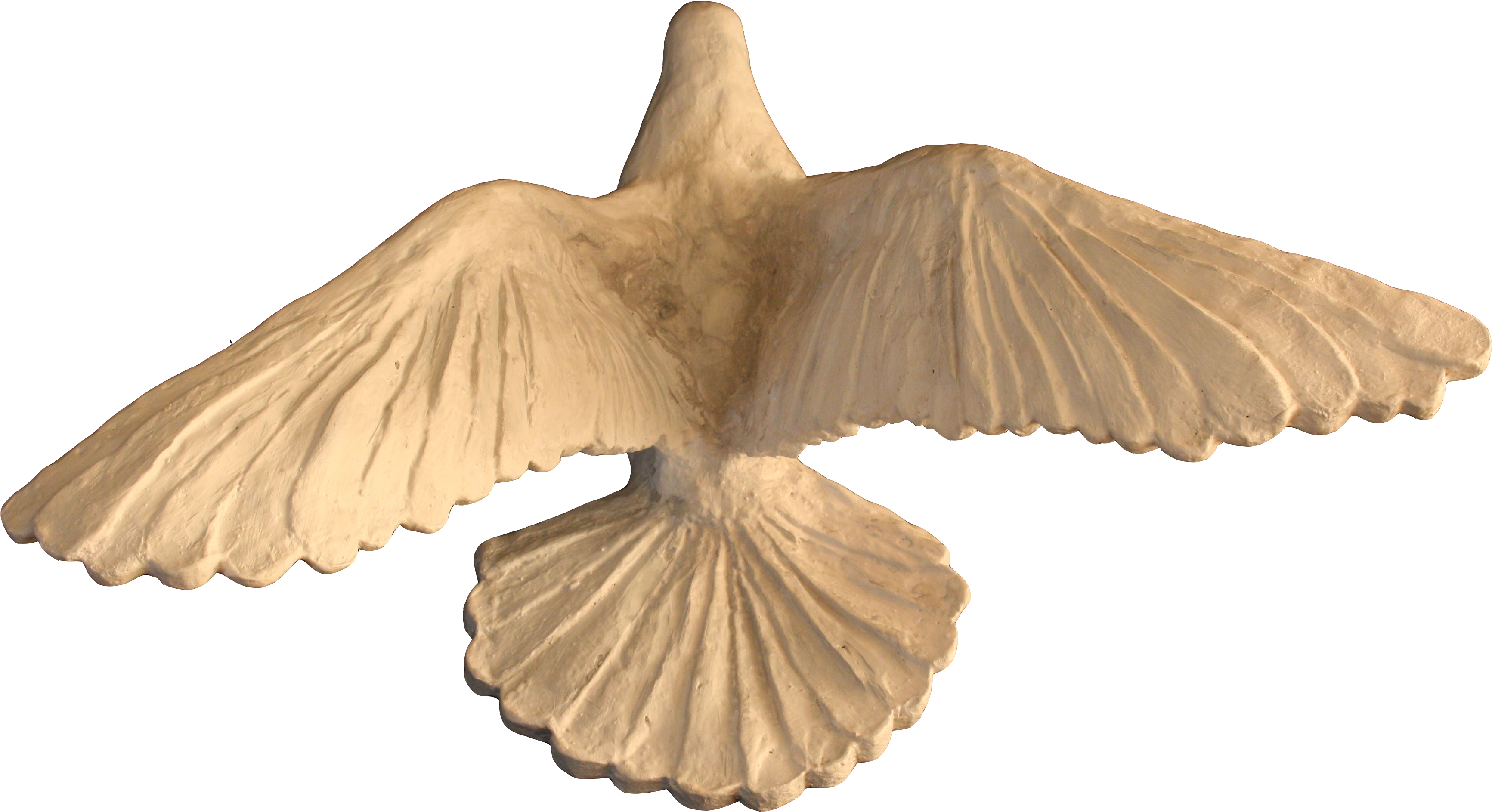 Paloma De La Paz - Red-tailed Hawk (3567x2286), Png Download