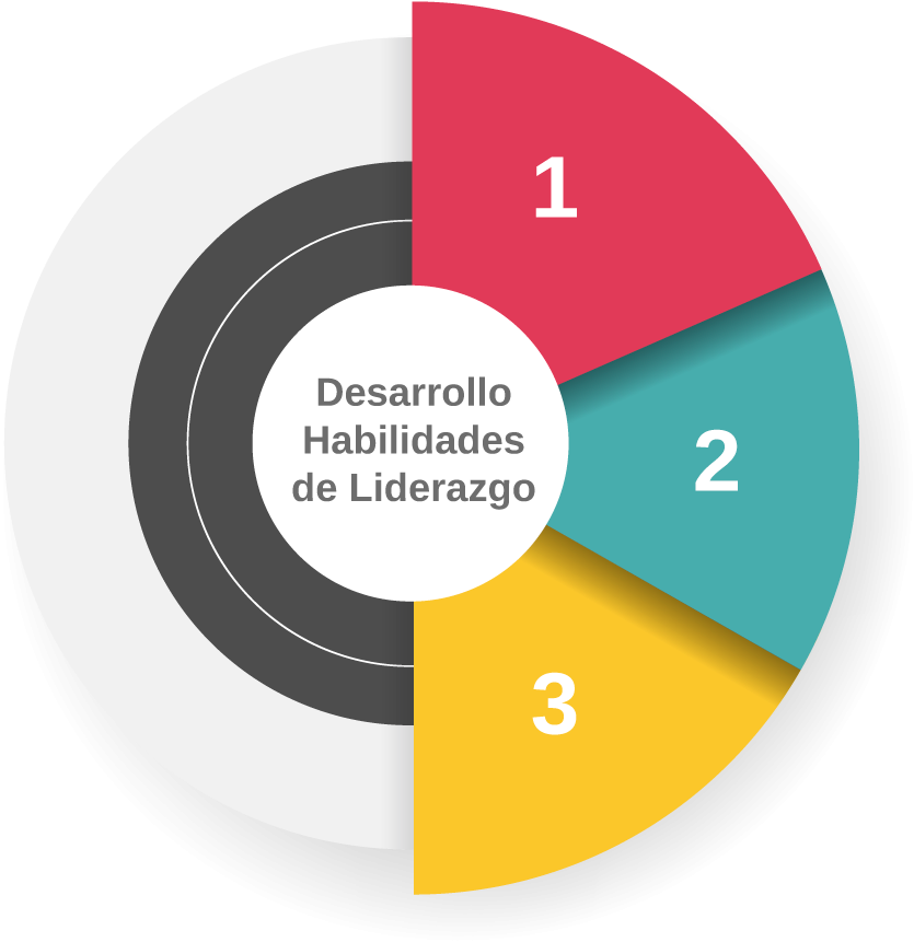 Desarrollo De Habilidades De Liderazgo - Leadership (1000x1000), Png Download