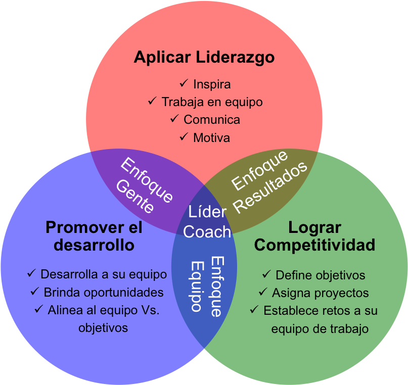 Al Término De Este Taller Los Participantes Serán Capaces - Desarrollo De Competencias De Liderazgo (813x780), Png Download