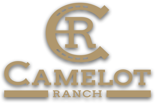 Camelot Ranch Events - Camelot Ranch (625x418), Png Download