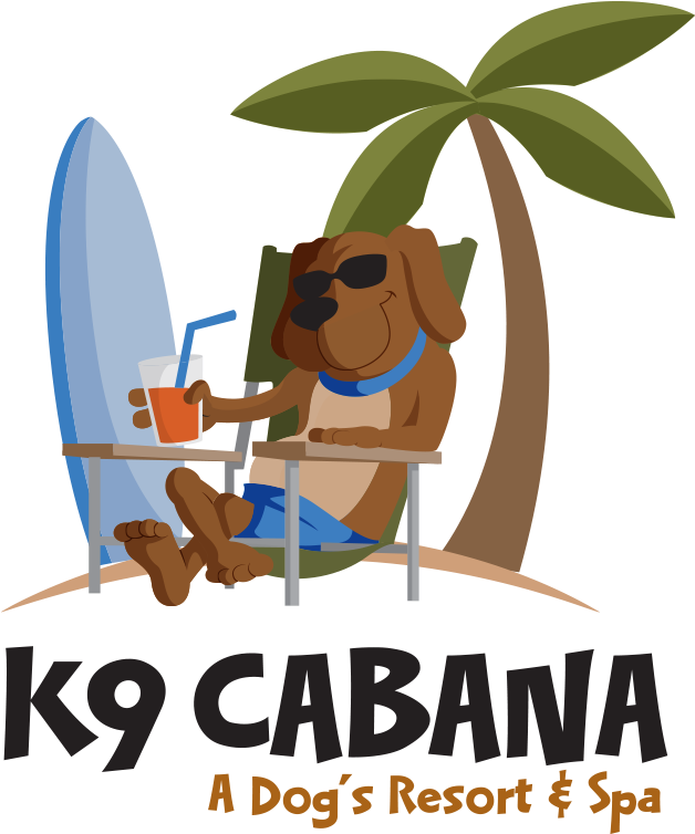 K9 Cabana Dog Resort & Training Center - K9 Cabana (800x800), Png Download