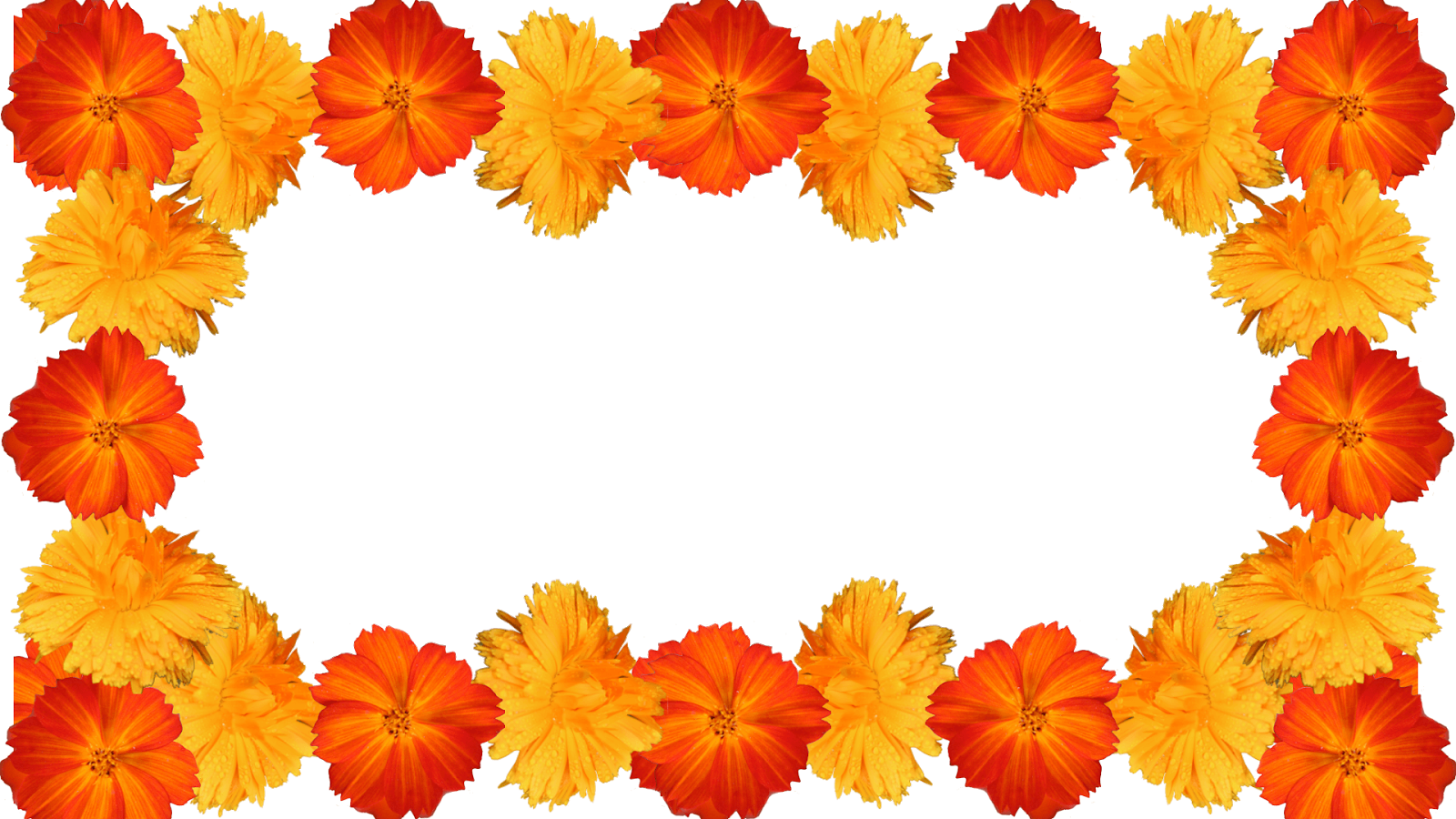 7 Moldura Flores Amarelas E Laranja Png - Flores Amarelas E Laranjas (1600x900), Png Download