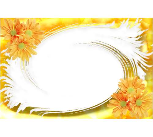 Your Photo Photo Frame - Barberton Daisy (500x450), Png Download