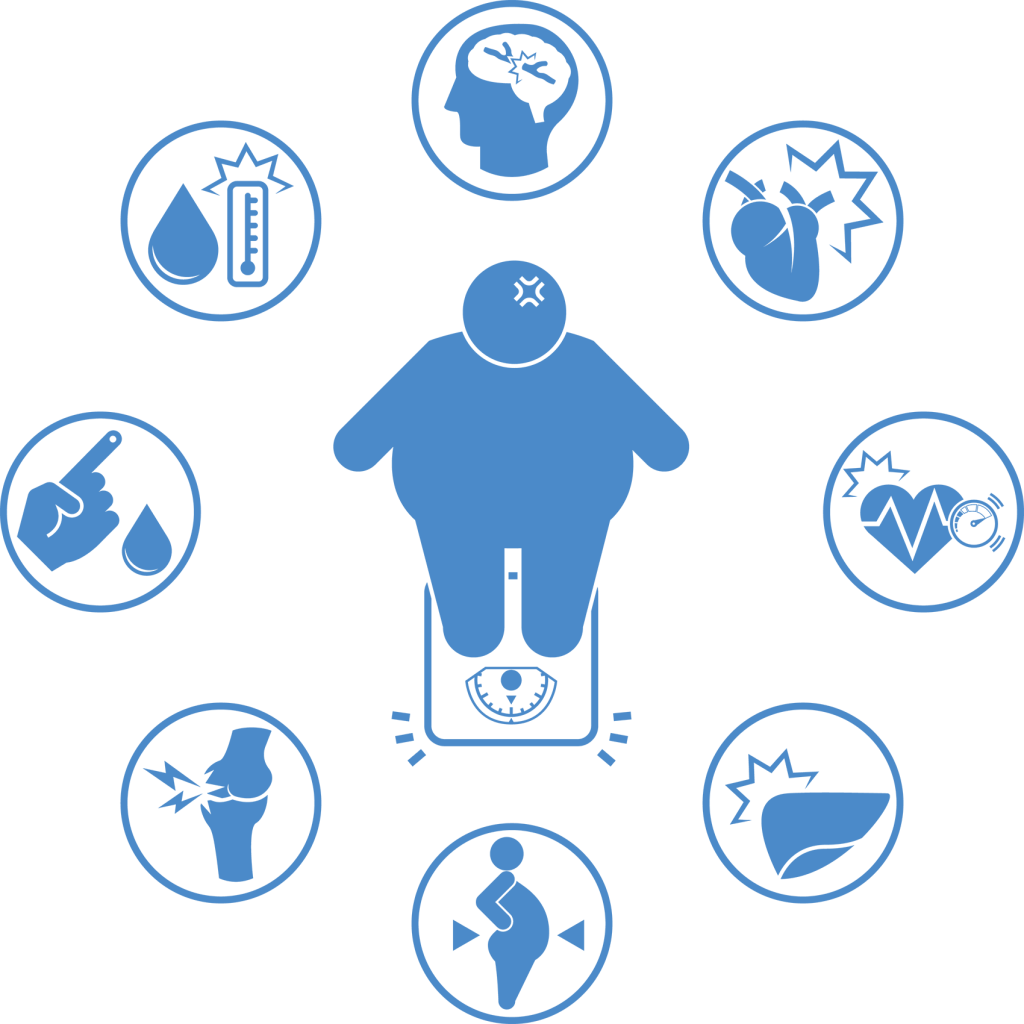 Download Major Health Risks Causes Of Obesity Png Transparent PNG