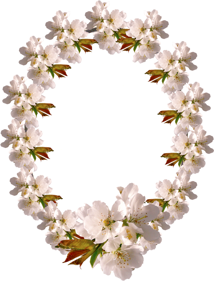 Molduras Ovais (800x950), Png Download