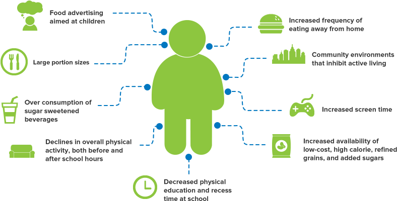 Children And Obesity - Causes Obesity (787x440), Png Download