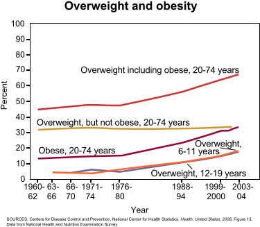 From This Graph, You Can See That About 70% Of The - Effects Of Obesity On Type 2 Diabetes (432x350), Png Download
